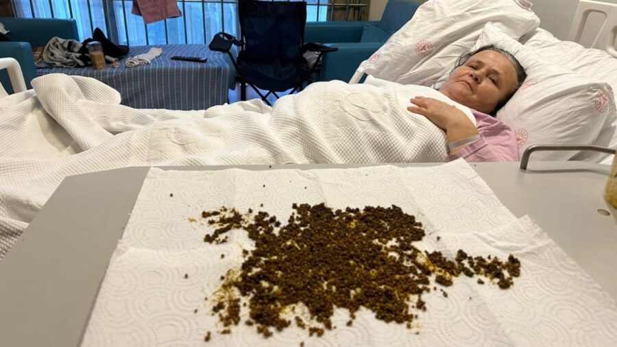 Manisa’da safran kesesinde 20 binin üzerinde taş çıktı